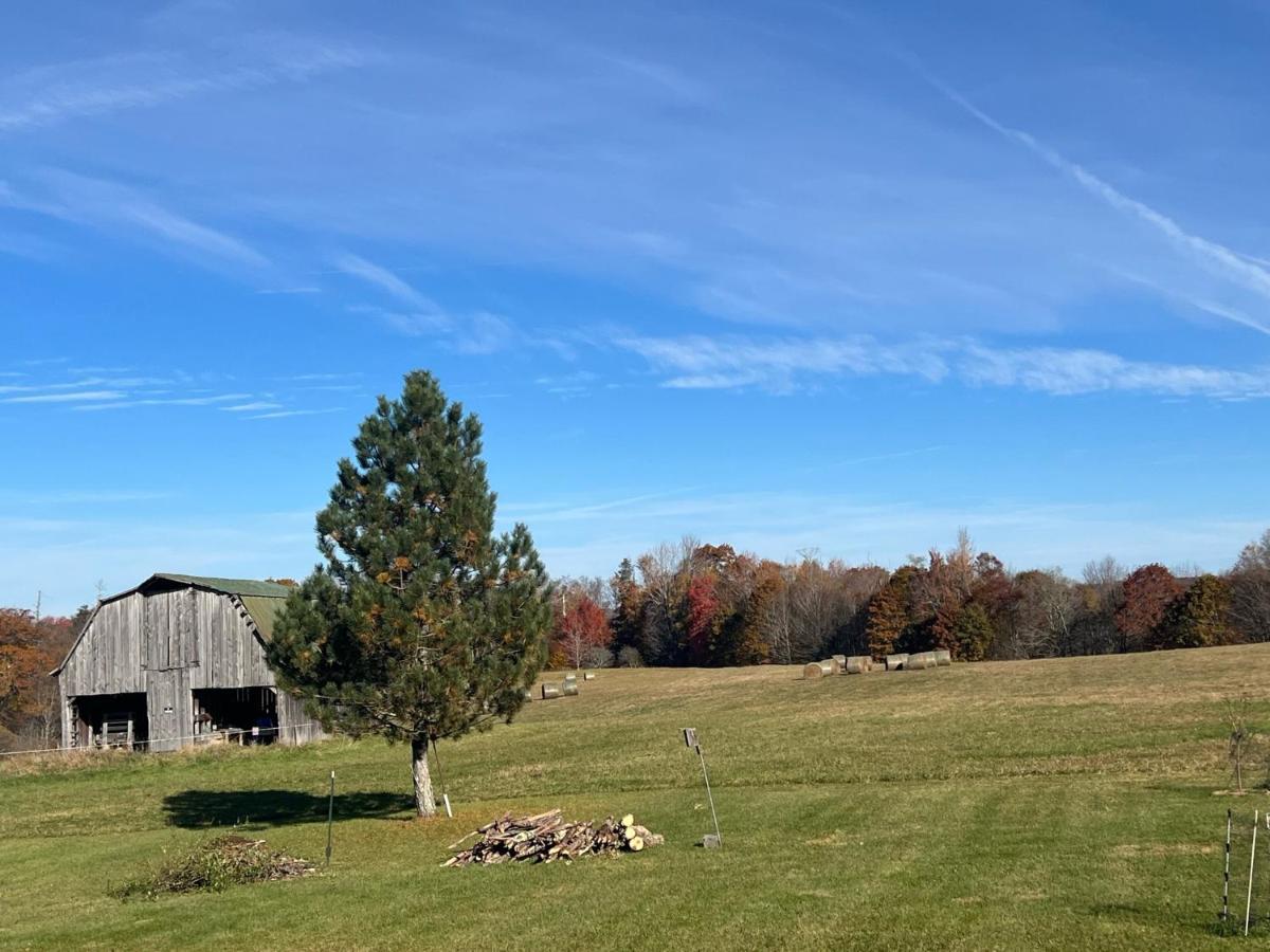 Smiths In-Law Suite! Pet Friendly, Hot Tub! Valley Head Luaran gambar
